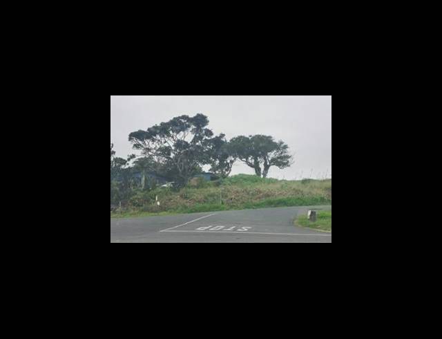 BUSINESS FOR SALE IN CRAIGIEBURN